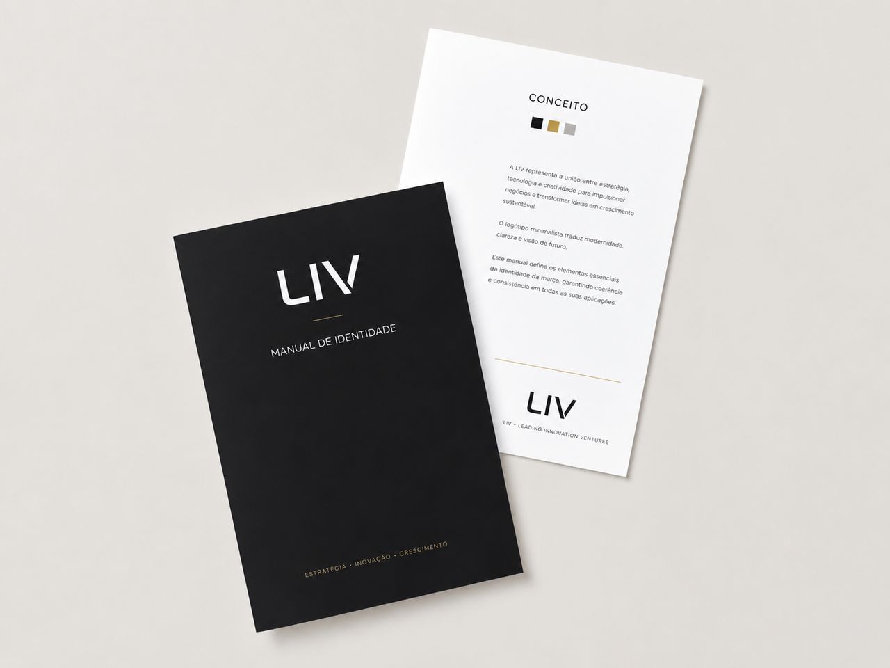 Manual de identidade LIV