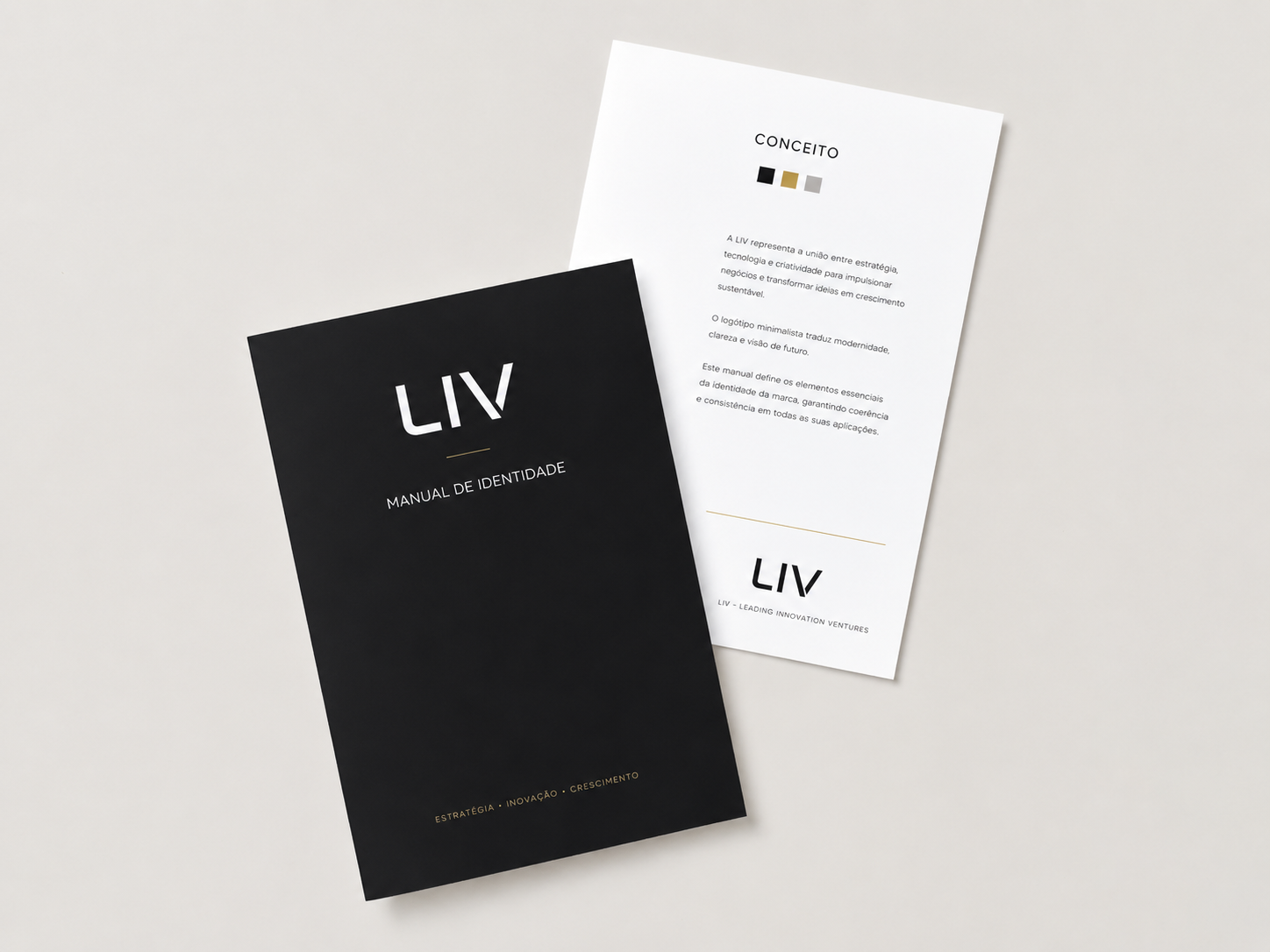 Manual de identidade LIV